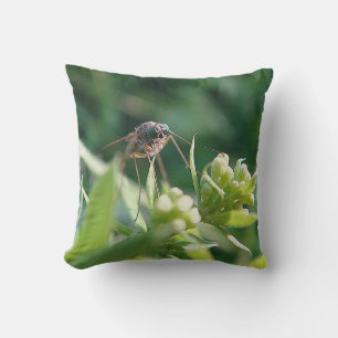 Coussin Dekokisse Mücke mit Augen à türkis