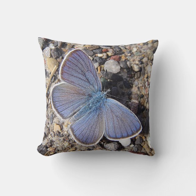 Coussin Dekokissen blauer Schmetterling (Recto)