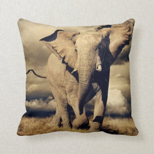 COUSSIN D'ÉLÉPHANT DE BULL D'AFRICAIN