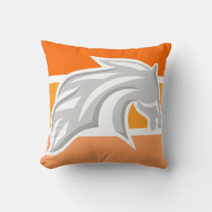 Coussin Denver   Bronco   Pilotes à lancer