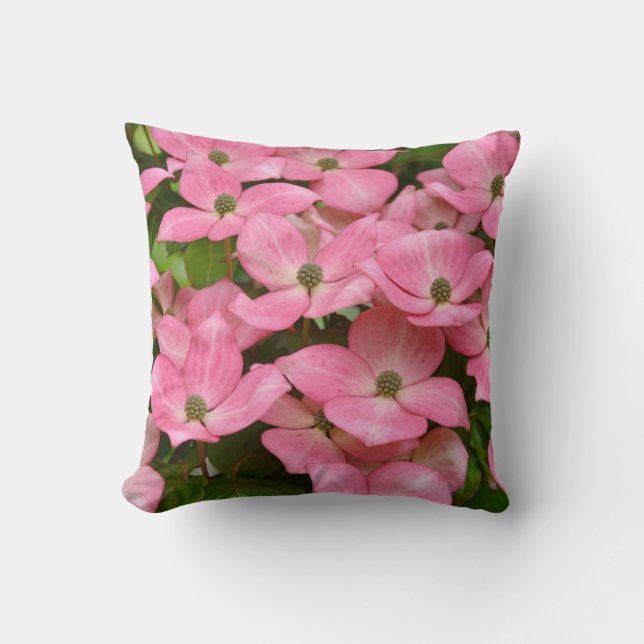 Coussin Des fleurs de bois de dogwood rose kousa lancent l (Recto)