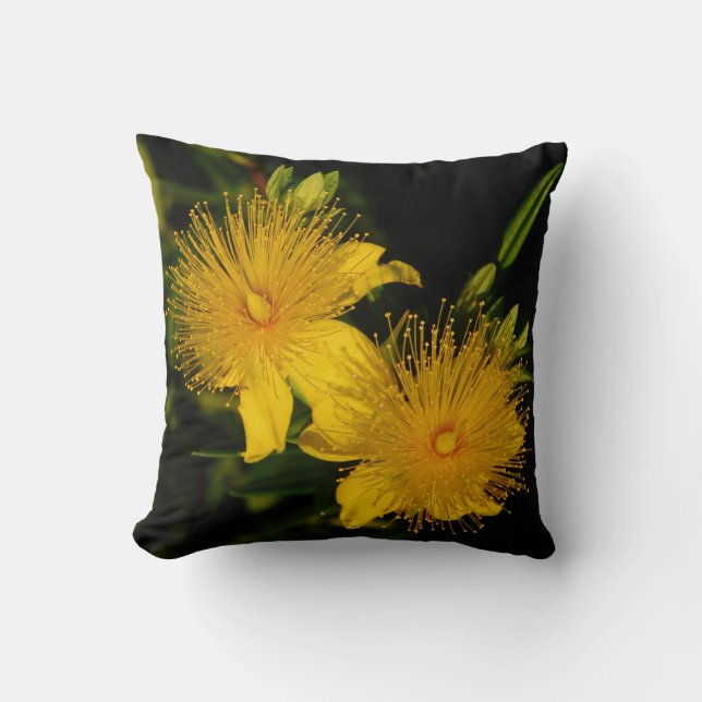 Coussin des fleurs Sunburst (Recto)
