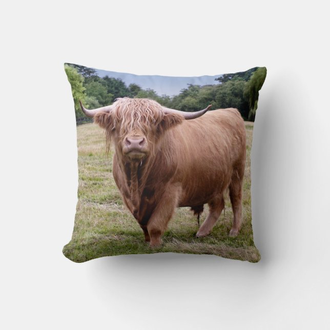 Coussin des montagnes de vache (Recto)