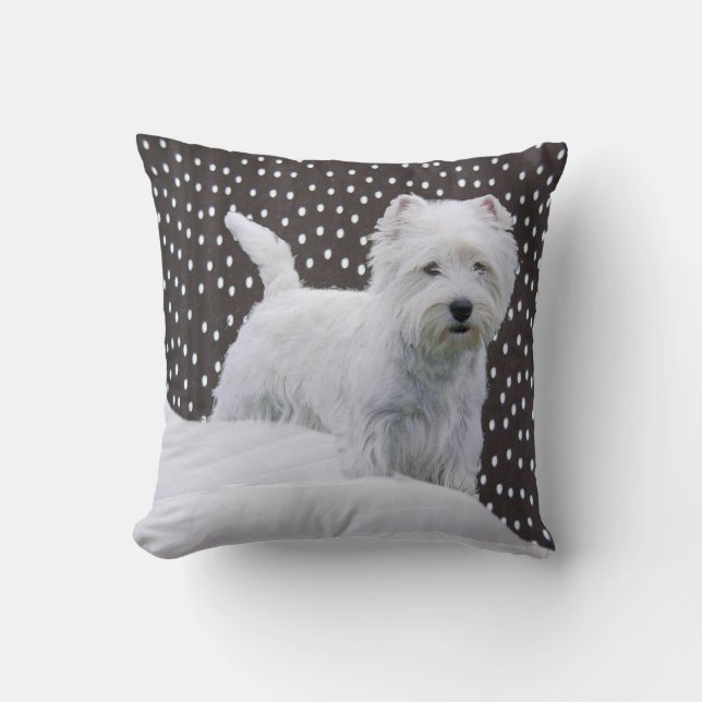 Coussin des montagnes occidental blanc de Terrier (Recto)