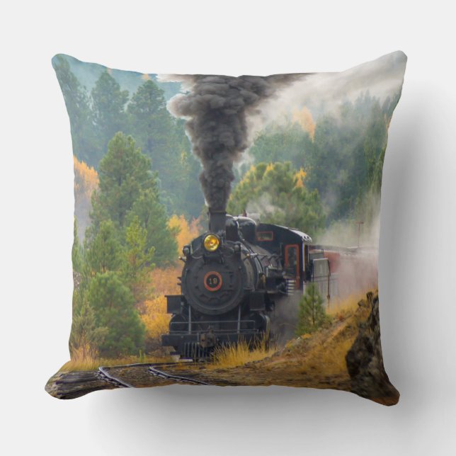 Coussin des options d'image Train 25A-C (Recto)
