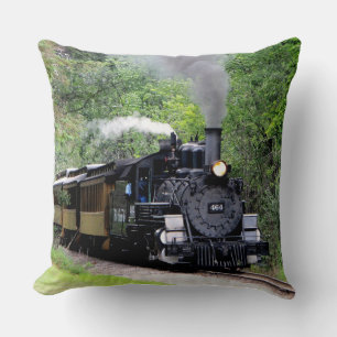 Coussin des options d'image Train 29-30