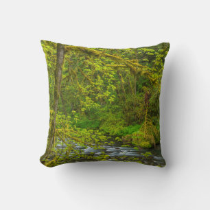 Coussin Des rochers et des arbres moussu bordent Eagle Cre