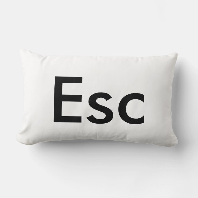 Coussin d'ESC (Recto)