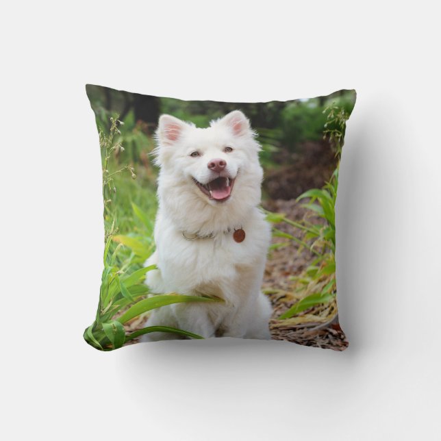 Coussin Design photo de chien blanc très adorable (Recto)