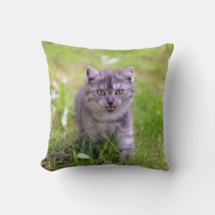 Coussin Design photo Super Cute Grey Kitten