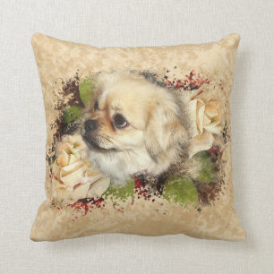 Coussin d'Espagne tibétaine