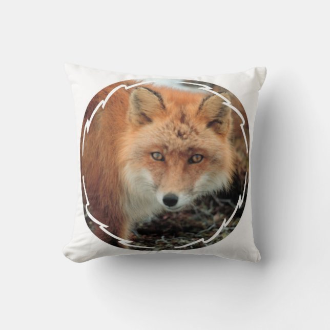 Coussin d'espèces de Fox (Recto)