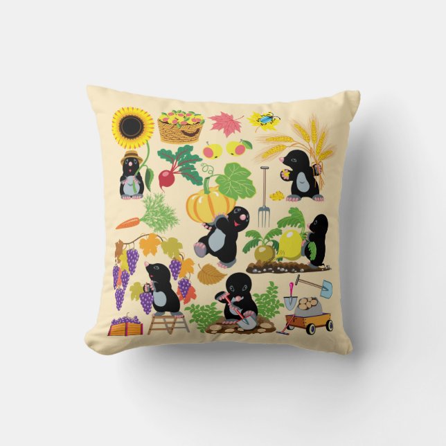 Coussin dessin animé (Recto)