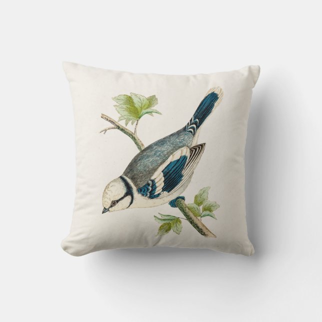 Coussin Dessin bleu d'oiseaux d'oiseau chanteur d'oiseau (Recto)
