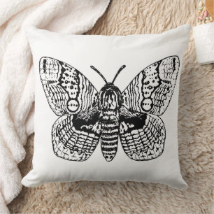 Coussin Dessin Brahmin moth
