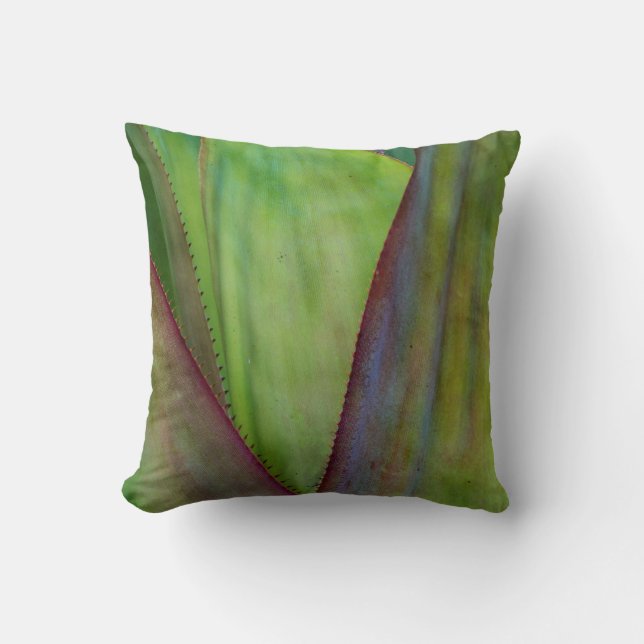 Coussin Détail de la plante d'Agave (Recto)