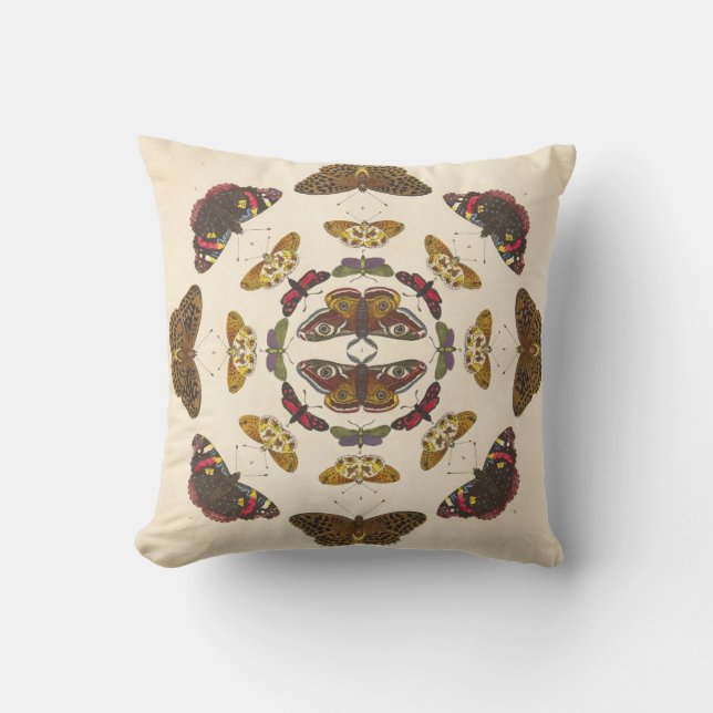 Coussin Détaillez du plat VII (Recto)