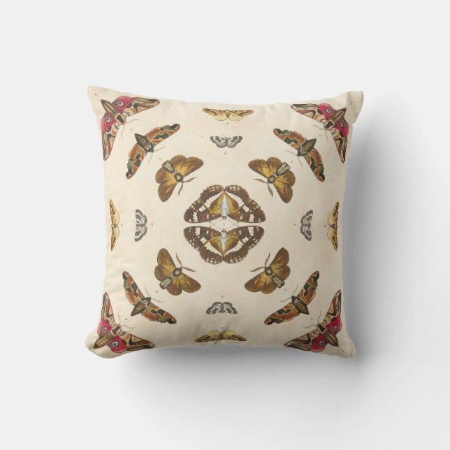Coussin Détaillez du plat VIII (Recto)