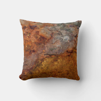 Coussin Détruit