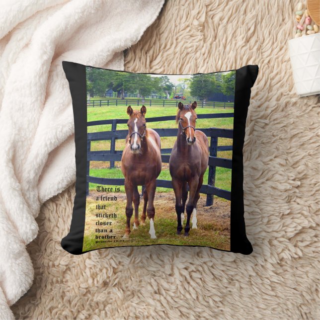 Coussin Deux amis avec proverbes 18:24 (Couverture)