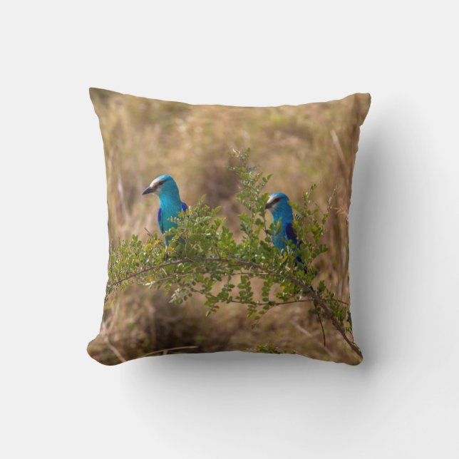 Coussin Deux Beaux Oiseaux Bleus sur une branche (Recto)