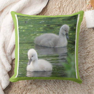 Coussin Deux Bébés Bébés Cutes Swans Gros Plan Lève Oreill