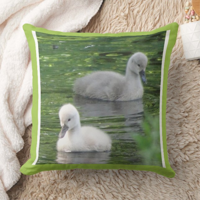 Coussin Deux Bébés Bébés Cutes Swans Gros Plan Lève Oreill (Couverture)