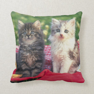 Coussin Deux chatons se reposant sur une couverture