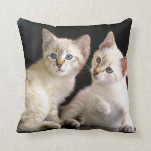Coussin Deux chatons tigrés de point de queue écourtée 
