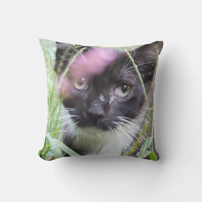 Coussin Deux Chatons, Un Coussin-Amoureux de les chats Jet (Recto)