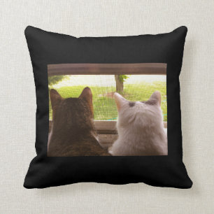 Coussin Deux chats de BFF regardant fixement hors de la