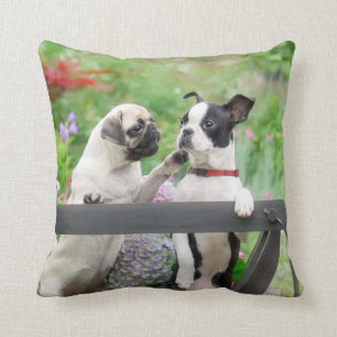 Coussin Deux chiens par chiot carlin et Boston Terrier dan