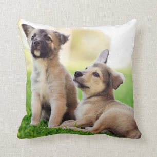 Coussin Deux chiots bergers allemands