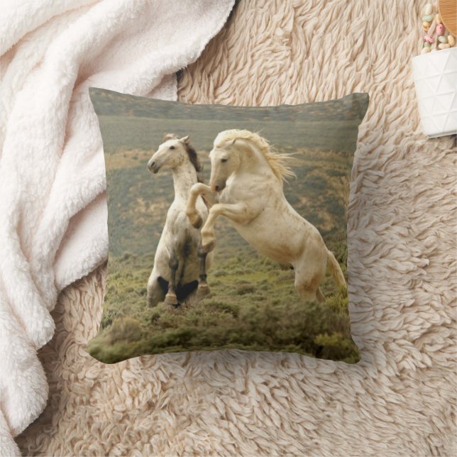 Coussin Deux étalons sauvages se battent (Couverture)