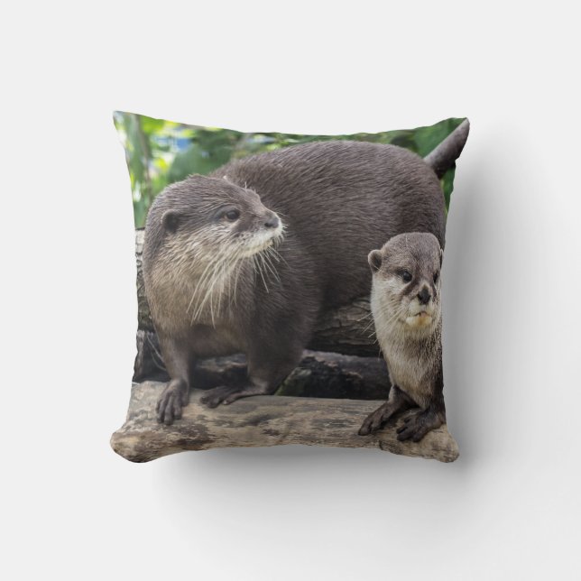 Coussin Deux loutre mignonne des loutres | (Recto)