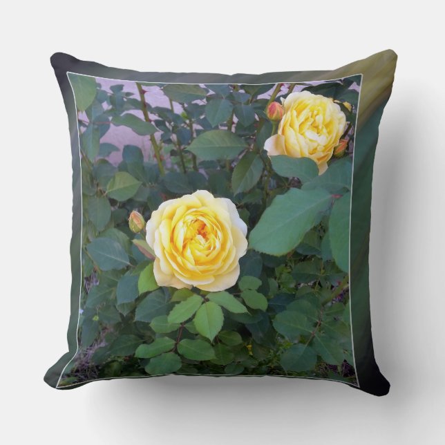 Coussin deux roses jaunes (Recto)