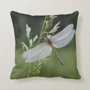 Coussin Dew couvert Darner Dragonfly