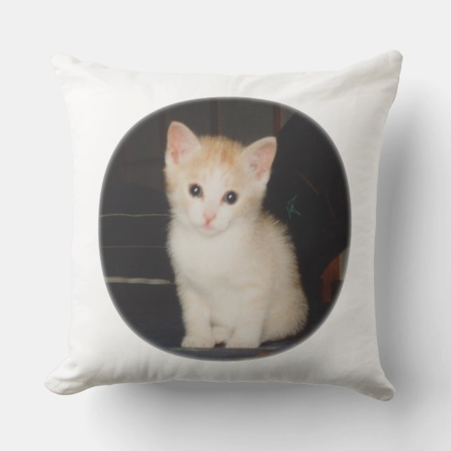 COUSSIN D'EXTÉRIEUR うちのかわいこちゃんのクッション (Recto)