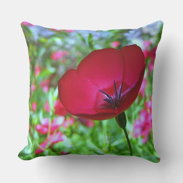 Coussin d'extérieur à fleurs sauvages rouges (Recto)