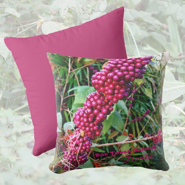 Coussin D'extérieur American Beautyberry à Bok Tower Gardens Floride (Créateur téléchargé)