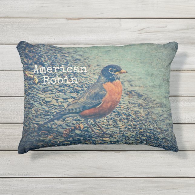 Coussin D'extérieur American Robin Bird Outdoor Accent Pillow (Devant)