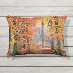 Coussin D'extérieur Beaux rayons de soleil colorés de forêt d'automn