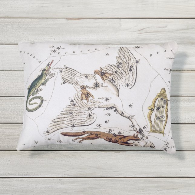 Coussin D'extérieur Carte astronomique vintage (Dos)