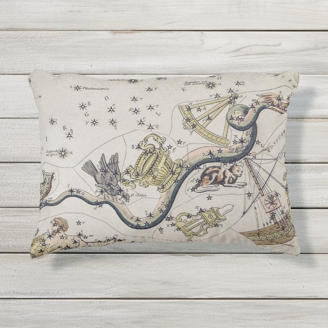 Coussin D'extérieur Carte astronomique vintage (Devant)