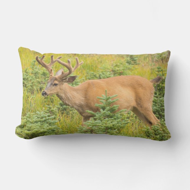 Coussin D'extérieur Cerf à queue noire (Recto)