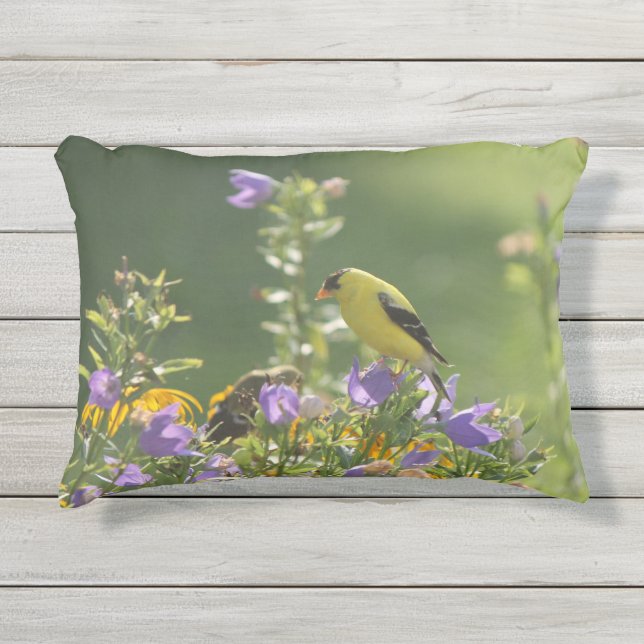 Coussin D'extérieur Chardonneret sur une fleur de campanule (Devant)