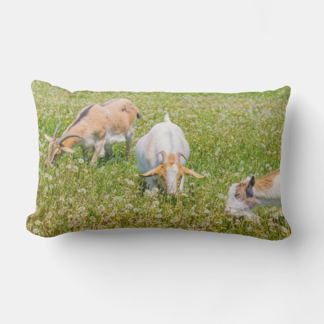 Coussin D'extérieur Charme Chèvres Animaux de ferme Vert (Recto)