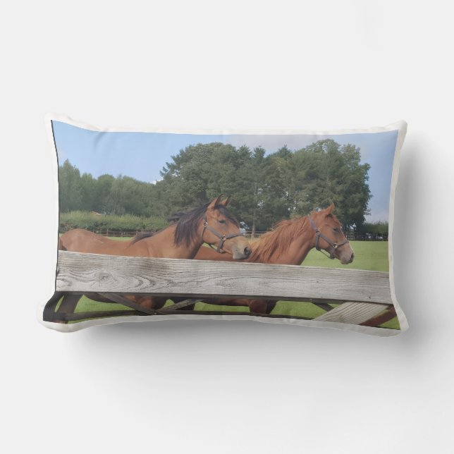 Coussin D'extérieur Chevaux dans la nature (Recto)