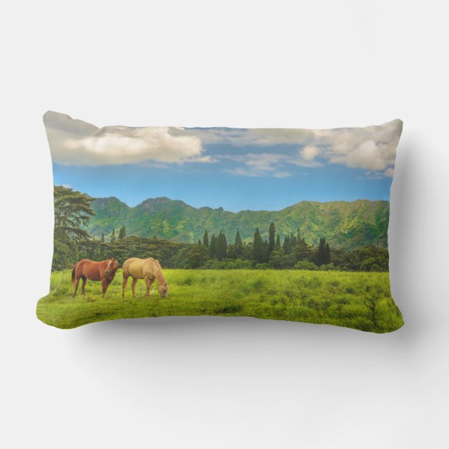 Coussin D'extérieur Chevaux hawaïens, Hokulei Peak, Kauai, Hawaii (Recto)