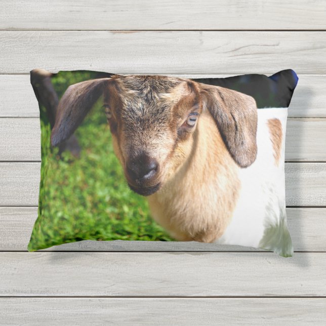 Coussin D'extérieur Chèvre adorable de bébé (Dos)